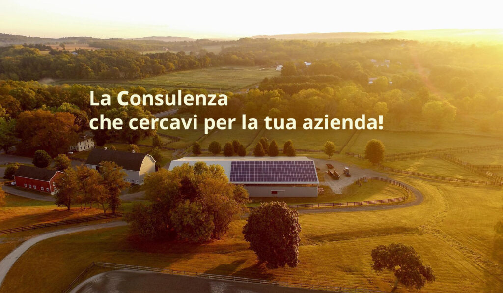 noleggio-operativo-di-un-impianto-fotovoltaico